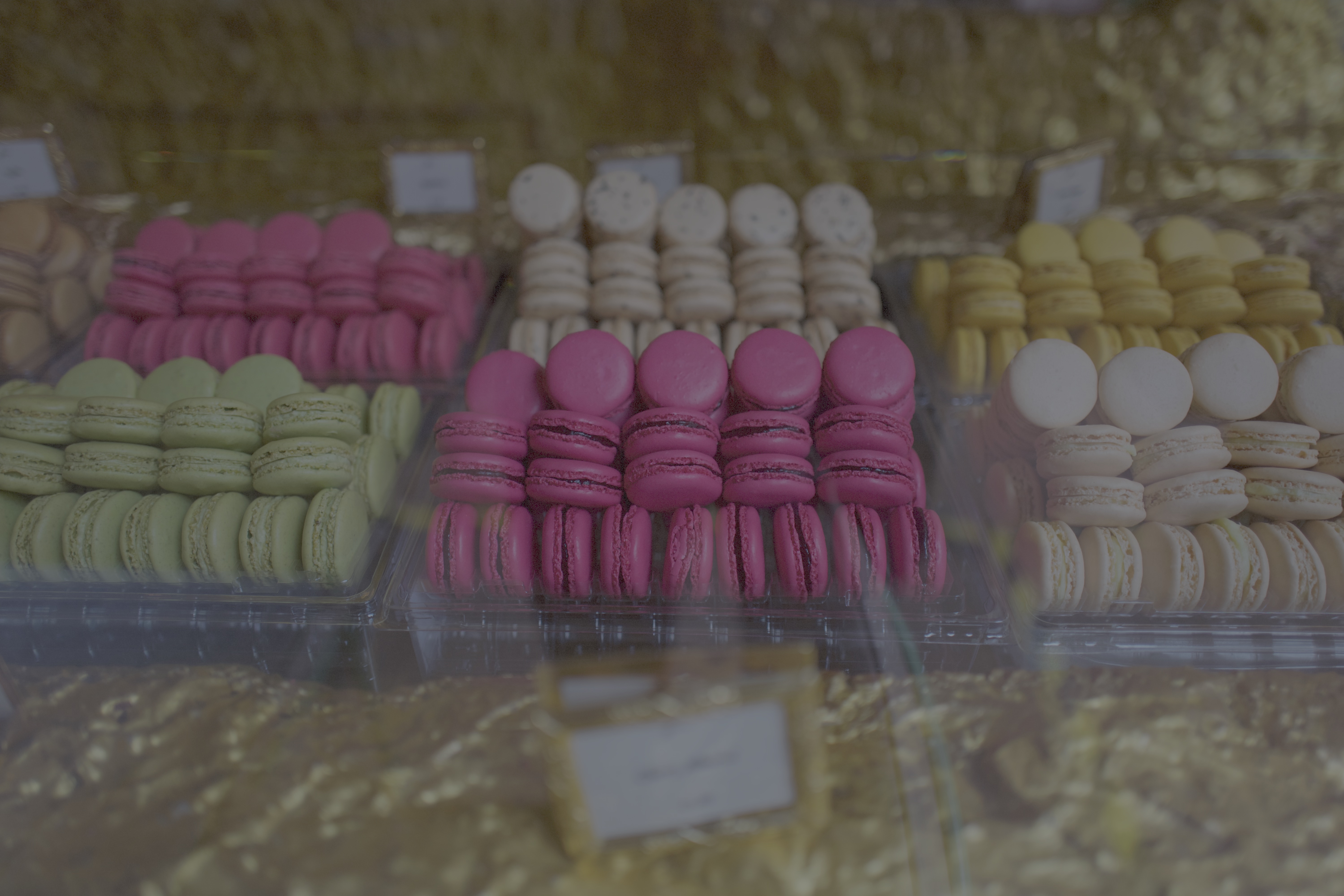 Daytrip preset preview